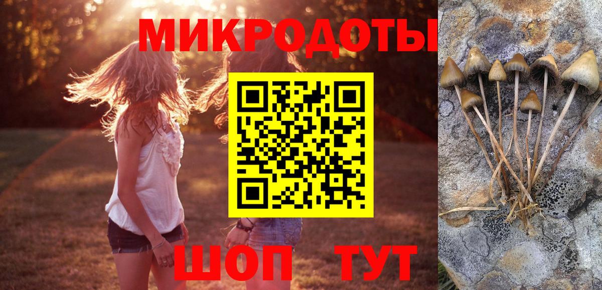 Псилоцибиновые грибы мицелий  Галлюциногенные грибы мицелий  закладка  Вход с VPN  Касимов 